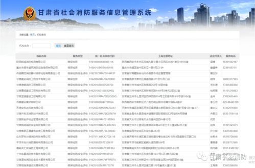 平涼消防 學黨史辦實事，手把手教你查詢消防技術服務機構