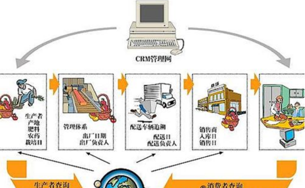 食品追溯的常用方法與信息技術咨詢服務的作用